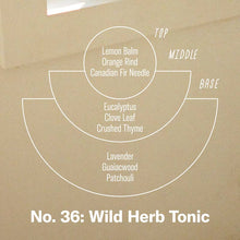 Wild Herb Tonic - 7.2 oz Standard Soy Candle